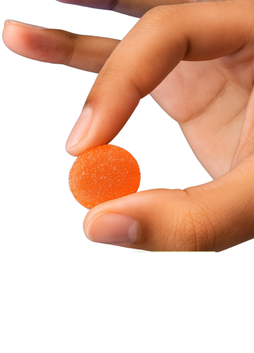 Watermelon Image